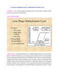 LYTIC AND LYSOGENIC CYCLES