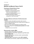 Channels Involved in Initiating Muscle Contraction