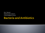 Bacteria and Antibiotics