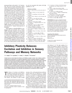 Inhibitory Plasticity Balances Excitation and Inhibition in Sensory