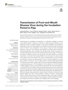 Transmission of Foot-and-Mouth Disease Virus during the