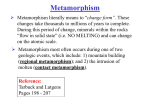 Metamorphism - Mr. Snelgrove