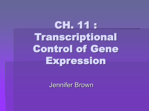 CH. 11 : Transcriptional Control of Gene Expression