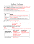 Worksheet Mollusks Read book and answer questions