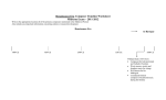 Musical Periods Composer Timeline Worksheet