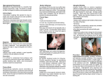 Swine Resp - CSU Veterinary Extension