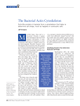 The Bacterial Actin Cytoskeleton