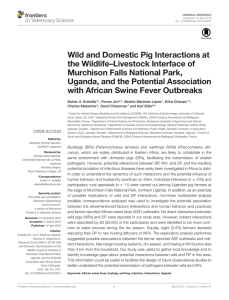 Wild and Domestic Pig Interactions at the Wildlife–Livestock