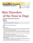 Skin Disorders of the Nose in Dogs