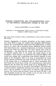 INTRINSIC CONNECTIONS AND CYTOARCHITECTONIC DATA OF