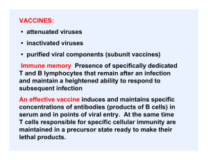 VACCINES: • attenuated viruses • inactivated viruses • purified viral