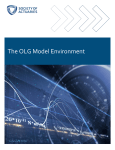 The OLG Model Environment