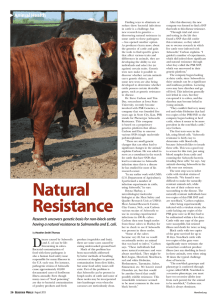 Natural Resistance - American Hereford Association