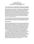 Tree and forest restoration following wildfire