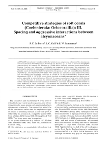 Competitive strategies of soft corals (Coelenterata