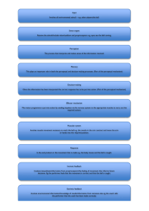 Input Involves all environmental stimuli – e.g. other players/the ball