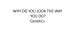 WHY DO YOU LOOK THE WAY YOU DO? Genetics