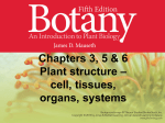 Slide set 6 – Cell and tissue structure