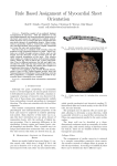 Rulebased Assignment of Myocardial Sheet Orientation