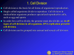 Genetica per Scienze Naturali aa 06