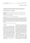 Review articles Transporter protein and drug resistance of