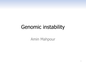 Genomic instability - Roswell Park Cancer Institute