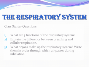 1) What are 3 functions of the respiratory system?