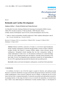 Retinoids and Cardiac Development
