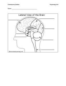 Neurotransmitters - Woodridge High School