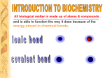 Intro to Biochem - Winston Knoll Collegiate