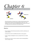 Analysis of mutant strains