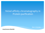 Nickel affinity chromatography in Protein purification