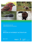 Peace Basin Species of Interest Action Plan