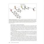 Stahl_3rd_ch04_Part2..