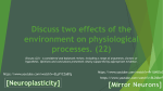 Discuss two effects of the environment on physiological processes