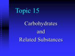 Topic 15 Carbohydrates