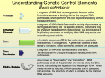 Understanding Genetic Control Elements
