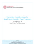 Marketing Considerations for Small