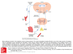 Slide 1 - AccessPharmacy