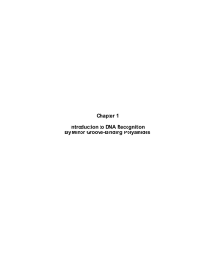 Chapter 1 Introduction to DNA Recognition By Minor Groove