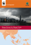 Mega-Stress for Mega-Cities