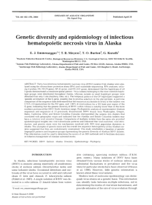 Genetic diversity and epidemiology of infectious hematopoietic