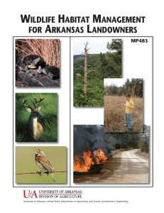 Wildlife Habitat Management for Arkansas Landowners