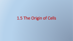 1.5 The Origin of Cells