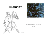 Immunity - HCC Learning Web