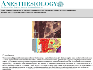 Slide () - Anesthesiology - American Society of Anesthesiologists