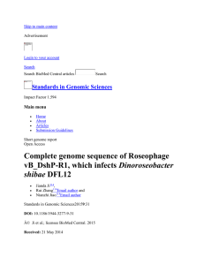 Complete genome sequence of Roseophage vB_DshP
