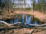 Vernal Pool PowerPoint