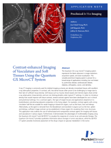 Contrast-enhanced Imaging of Vasculature and Soft