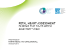 Fetal Heart Assessment Brochure Landscape